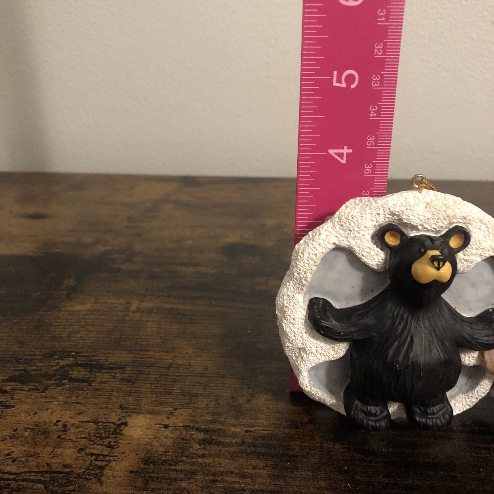 Picture 5 of 5