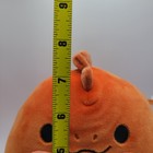 Bild 12 von 12