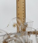 Bild 6 von 12