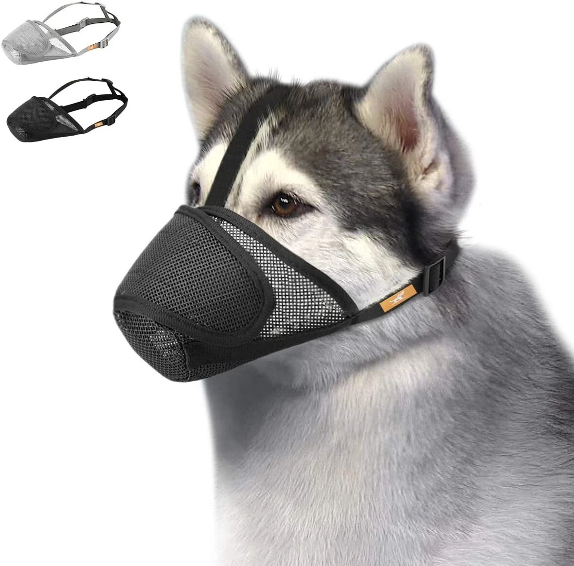 Dog mouth sales strap
