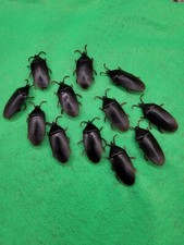 36 Prank Cockroaches Realistic Cock Roach Rubber Fake Creepy Bugs Gag Toy Joke