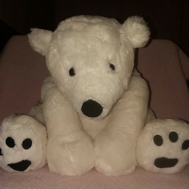 perry polar bear
