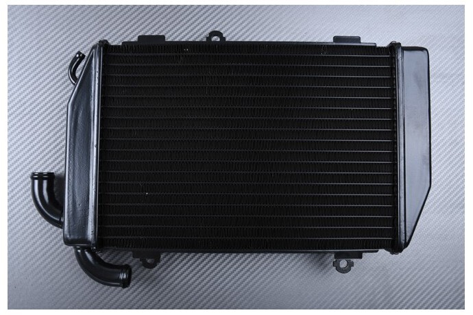 Radiateur eau pour Honda F6B Bagger évite la surchauffe moteur paire de remplacement exact