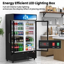 2 Doors Commercial Display Refrigerator 28 Cu. Ft Merchandiser Beverage Cooler