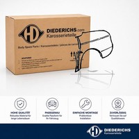 Zier Schutzleiste Seitenwand Hinten Links Diederichs 1611037 FÜR