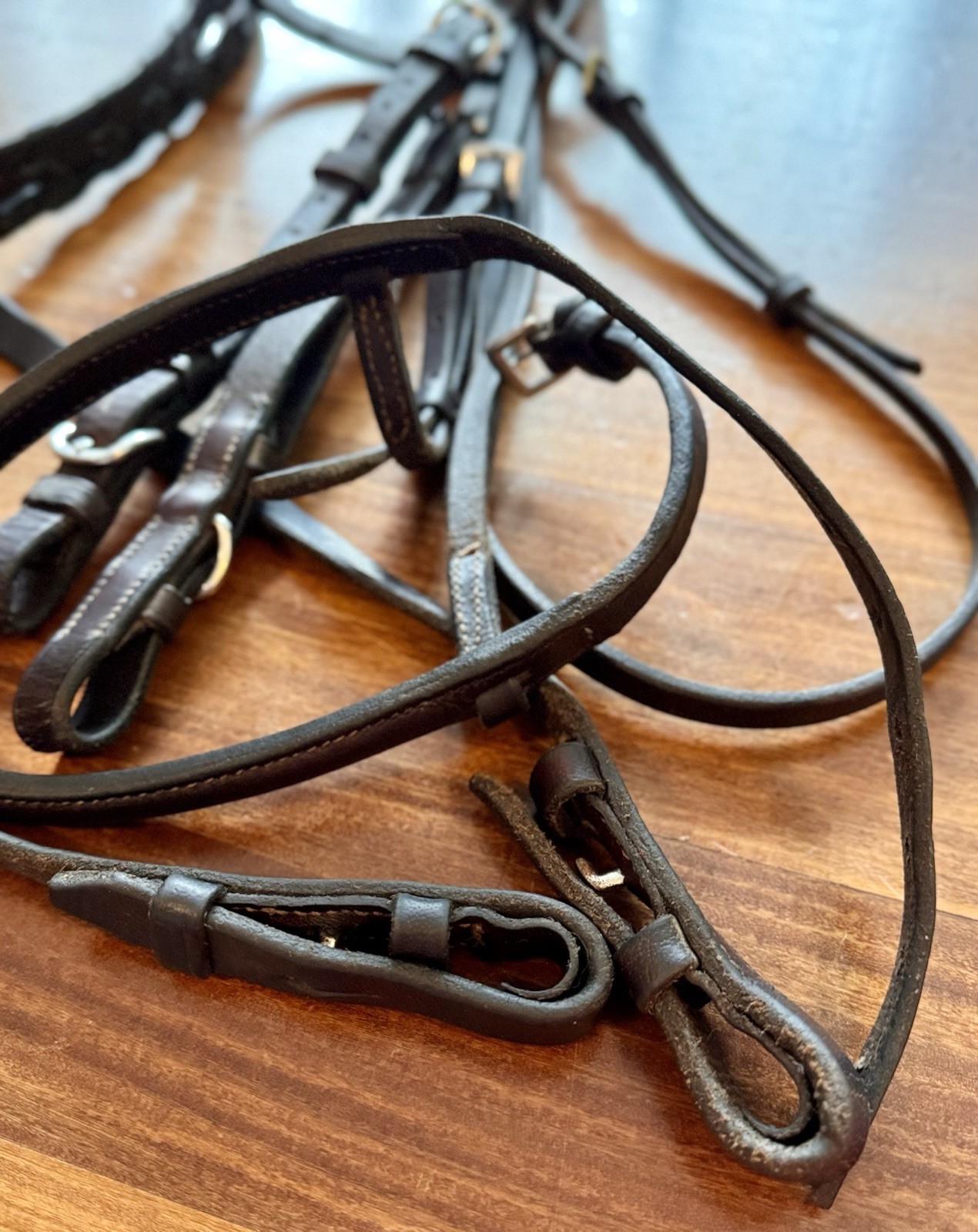 GATSBY Cob Fancy Stitched Bridle With Laced Reins Great Used Condition