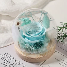 Long-Lasting Real Rose Flower, Unique Preserved Floral Gift for All Occasions