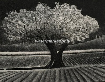 A Corn Field and Two Guards! -Reg Board 11''x14'' Scratch Signed