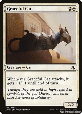 Magic the Gathering | Graceful Cat [AKH - 273]NM