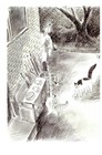 Bild 10 von 12