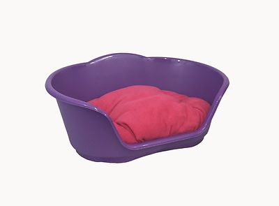 purple cat bed