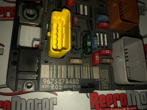 BSM-R05-00 DELPHI PSA 9675878480 - Imagen 2 de 2