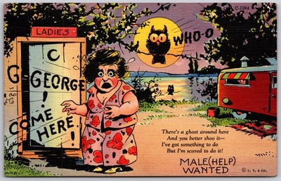 Vintage C.T. Comfort Comics Linen Postcard Scared Lady Owl Whoo Humor