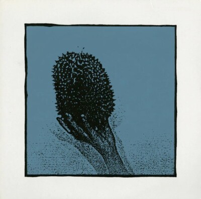 Neil / Richard / Simon / Stewart    Durian Durian LP Vinyl + insert