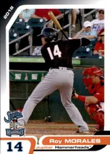 2018 Jupiter Hammerheads Grandstand #24 Roy Morales Lares Puerto Rico PR Card