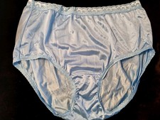 Vintage Hanes Blue Satin Nylon Silky Floral Brief Granny Panties XL 8 EUC