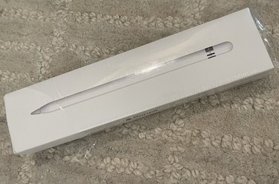 Apple Pencil (USB-C)