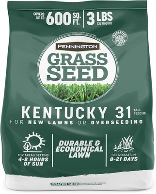 100% Kentucky 31 Tall Fescue Penkoted Grass Seed 3 lb