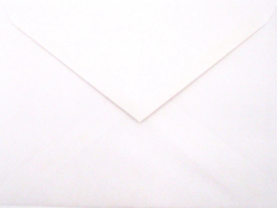 Tarjeta de simpatía para mascotas "Amado más allá de las palabras" Pérdida de perro gato pájaro jerbo cualquier mascota 2U Foto 4 de 4