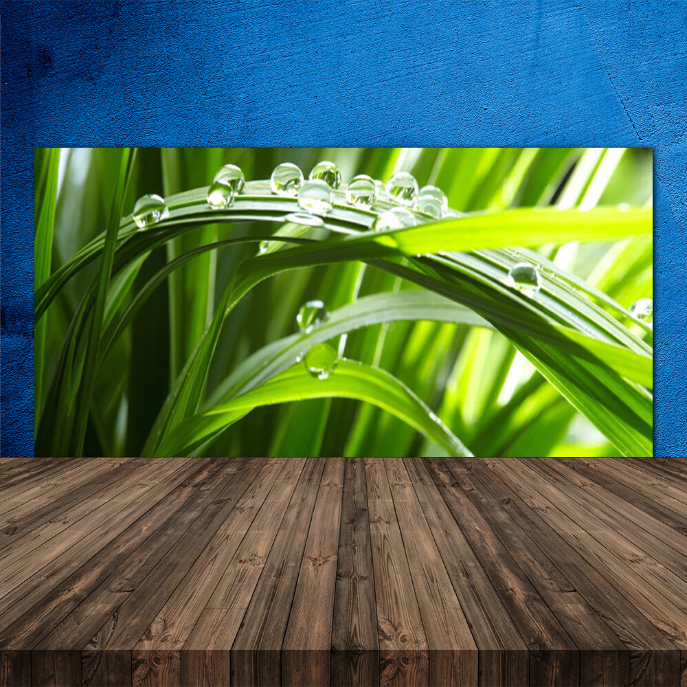 Crédence de cuisine en verre trempé 120x60 motif herbe et gouttes d'eau finition premium