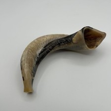 New Jewish Kosher Ram  s Horn Shofar 7.5" Made in Israel by Shofarot Israel