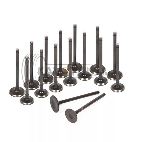 1ZZFE 1.8L Engine Overhaul Rebuild Kit For 98-08 Toyota Corolla Celica Matrix XR - Picture 11 of 60