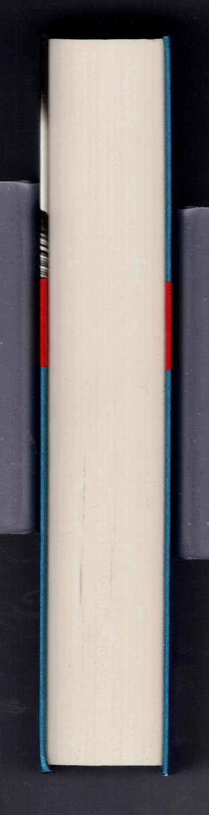Picture 4