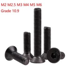 Grade 10.9 Steel M2-M6 Hexagon Socket Countersunk Screws Flat Head Bolts DIN7991