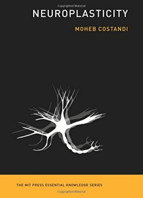 Neuroplasticity (The MIT Press Essential Knowledge Series) by Costandi New..