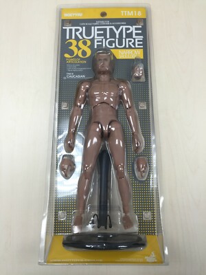 Hot Toys TTM 18 TrueType True Type Figure Body Caucasian Male Narrow Shoulders