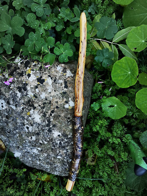Eichenstab Druide Ogham ca. 12 Zoll Heilige Kraft der Bäume