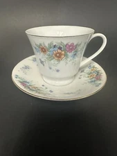 Vtg Teacup & Saucer Wild Flower