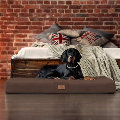 tierlando  Orthopädische Hundematte FLOKI ORTHO PLUS Plüsch & High-Tech-Velours