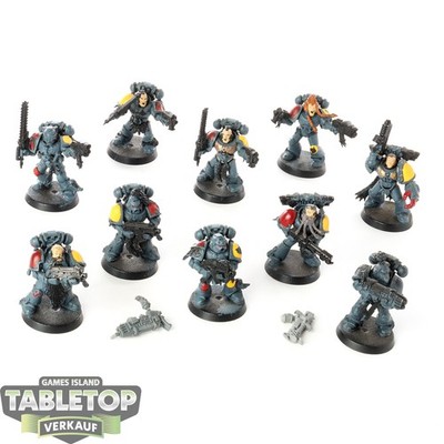 Space Wolves - 10x Grey Hunters - klassisch - teilweise bemalt