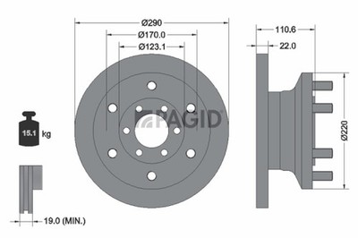 2x Bremsscheibe PAGID 54754N für IVECO DAILY 3 Bus CNG AMJA14A1 AMJA64A1 ANJA43A