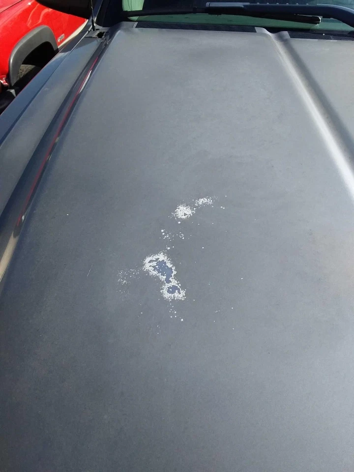 Used Hood fits: 2009 Chevrolet Silverado 1500 pickup new style smooth door skin Foto 2 de 4