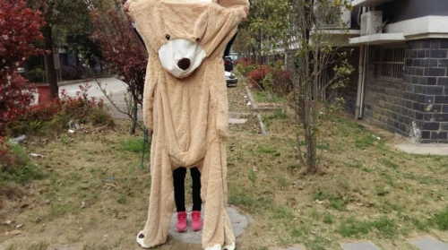 Big teddy shop bear coat