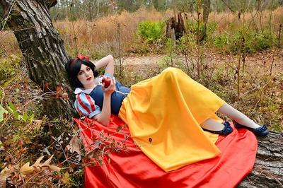 Snow White Dress Gown & Cape Costume, Adult - Your Size Choice Busts 32" -  42" | eBay