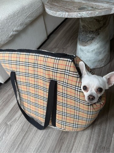 Burberry Nova Check Dog Carrier Bag Pet Carrier Dog Carry