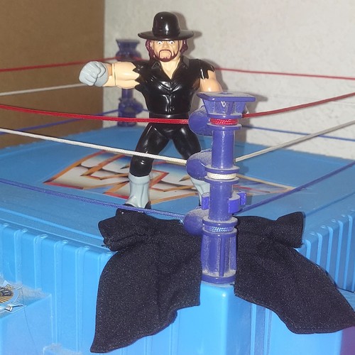Undertaker Hasbro Series 8 Red Card Mint Hasttel K...