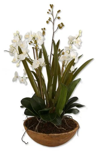 Uttermost 60039 Moth Orchid Planter n/a Botanical - Picture 1 of 2
