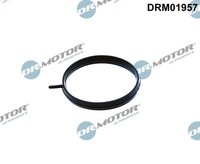 Dr. Motor Automotive DRM01957 Dichtung, Drosselklappe FüR Nissan
