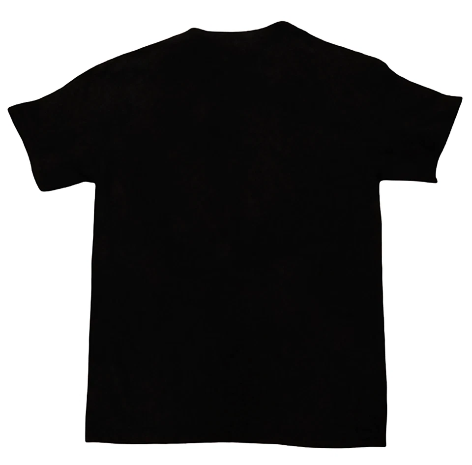 Camiseta de los 90 NHL Lee Sports VF Image Wear Pittsburgh Penguins Talla: L (14-16) Foto 3 de 4