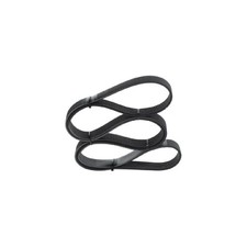 Bosch Keilrippenriemen 11720JG70B 1172000Q5C 119200054R 8200356445 1 987 947 044