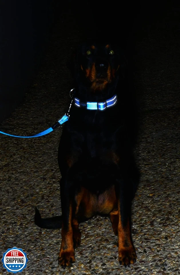 Correa reflectante para perros extra grandes, 1" de ancho, 6' de largo, negra Foto 4 de 4