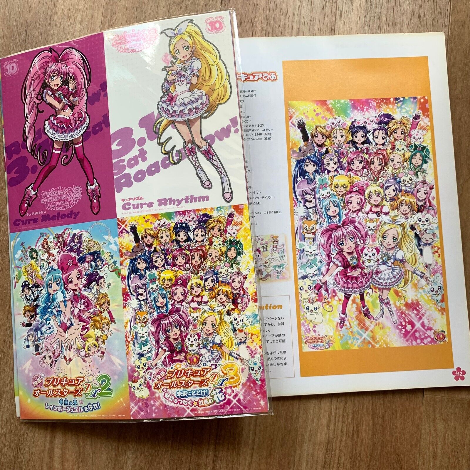 Pretty Cure All Stars DX3 Movie Pamphlet JAPAN