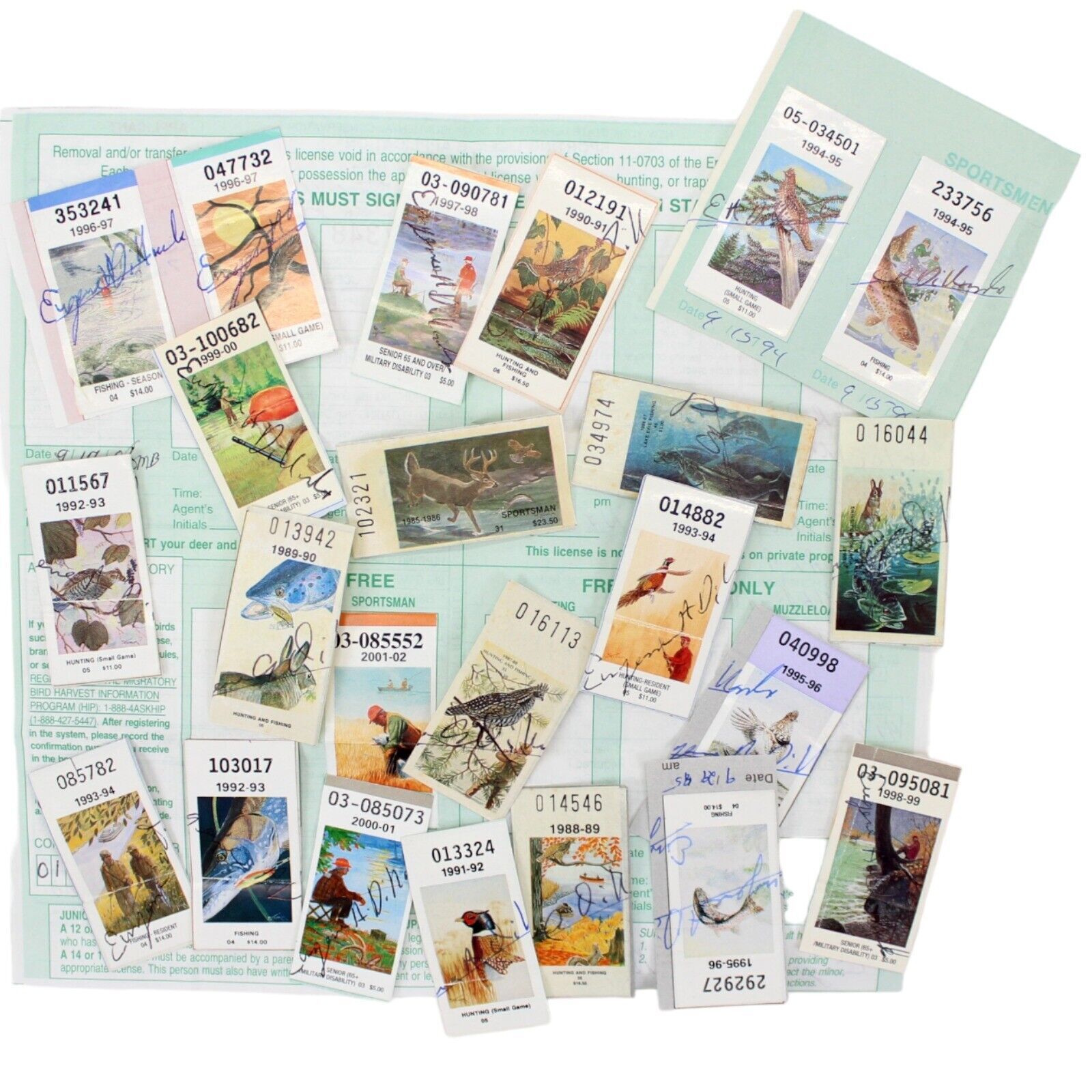 NYS HUNTING FISHING VINTAGE PERMITS LICENSES WILDLIFE NEW YORK 1980s