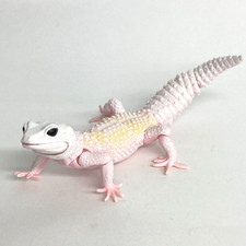 Used Bandai Gashapon Leopard Gecko Action Figure ADVANCE  Blizzard 165mm 2021