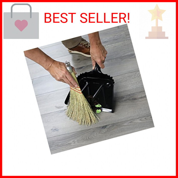 Genuine Joe - 80161 Whisk Broom