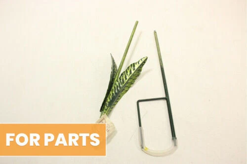 Adornos De Jardín Metálico Regal Flores y estatuas